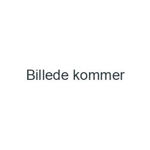 Bolsjer